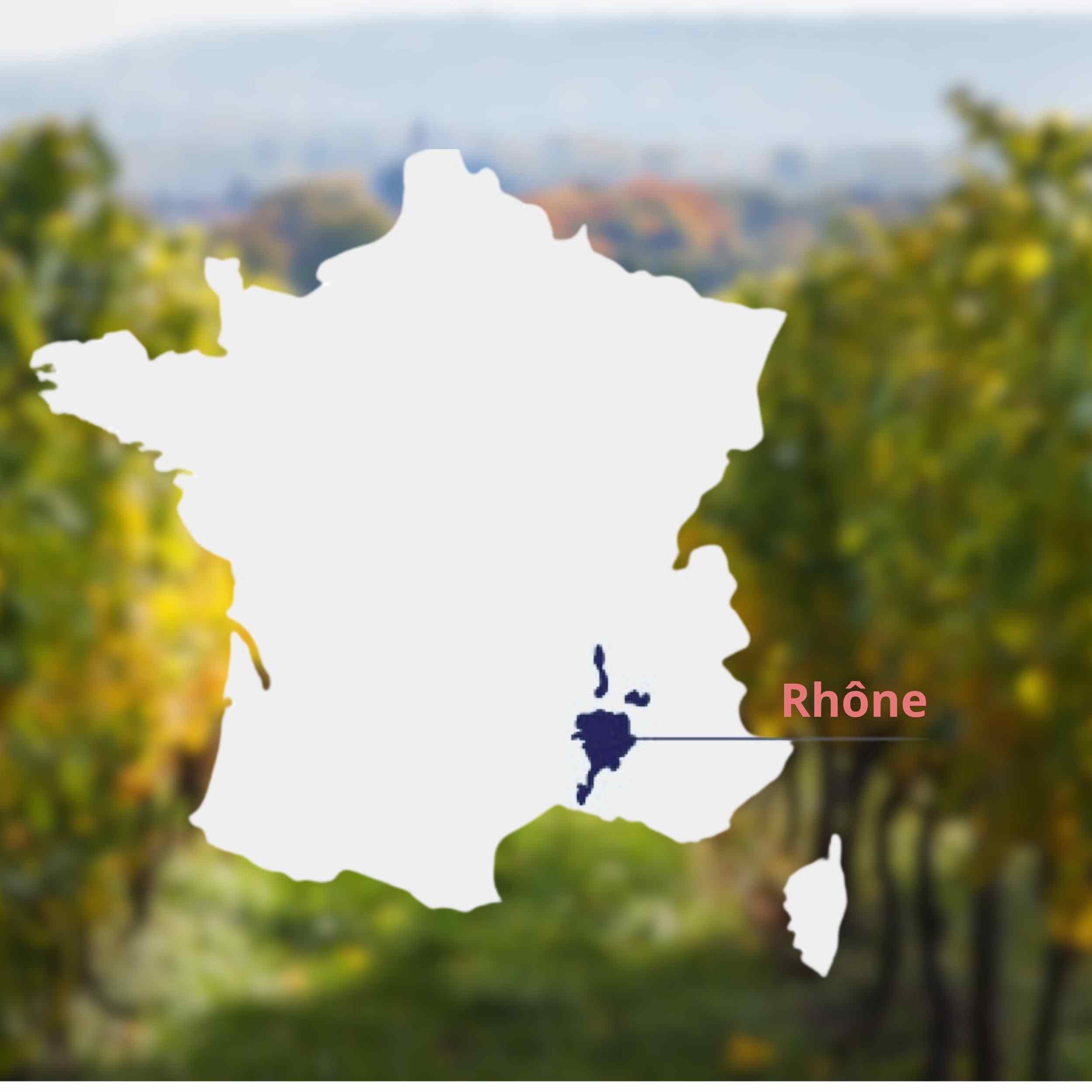 Alles over de wijnregio de rhone