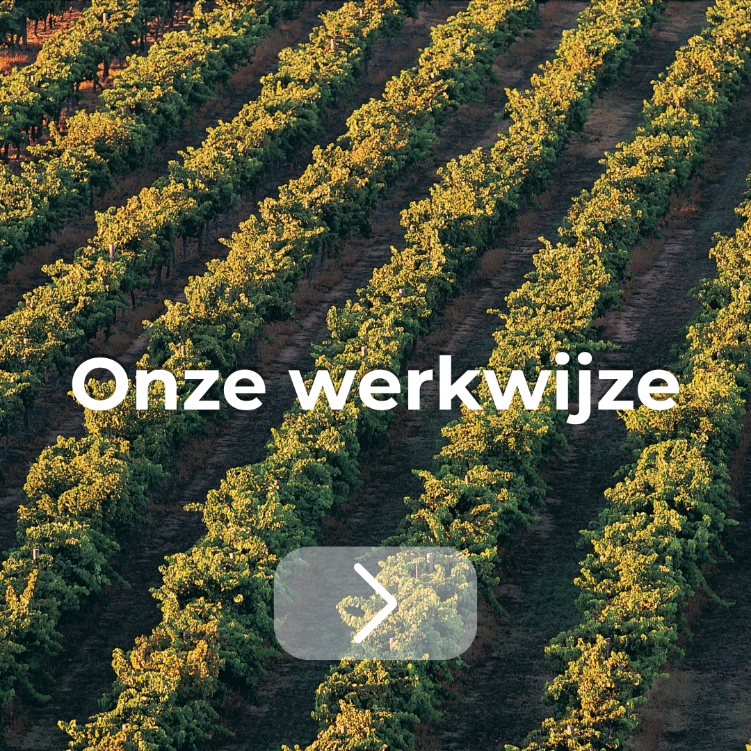 Onze werkwijze