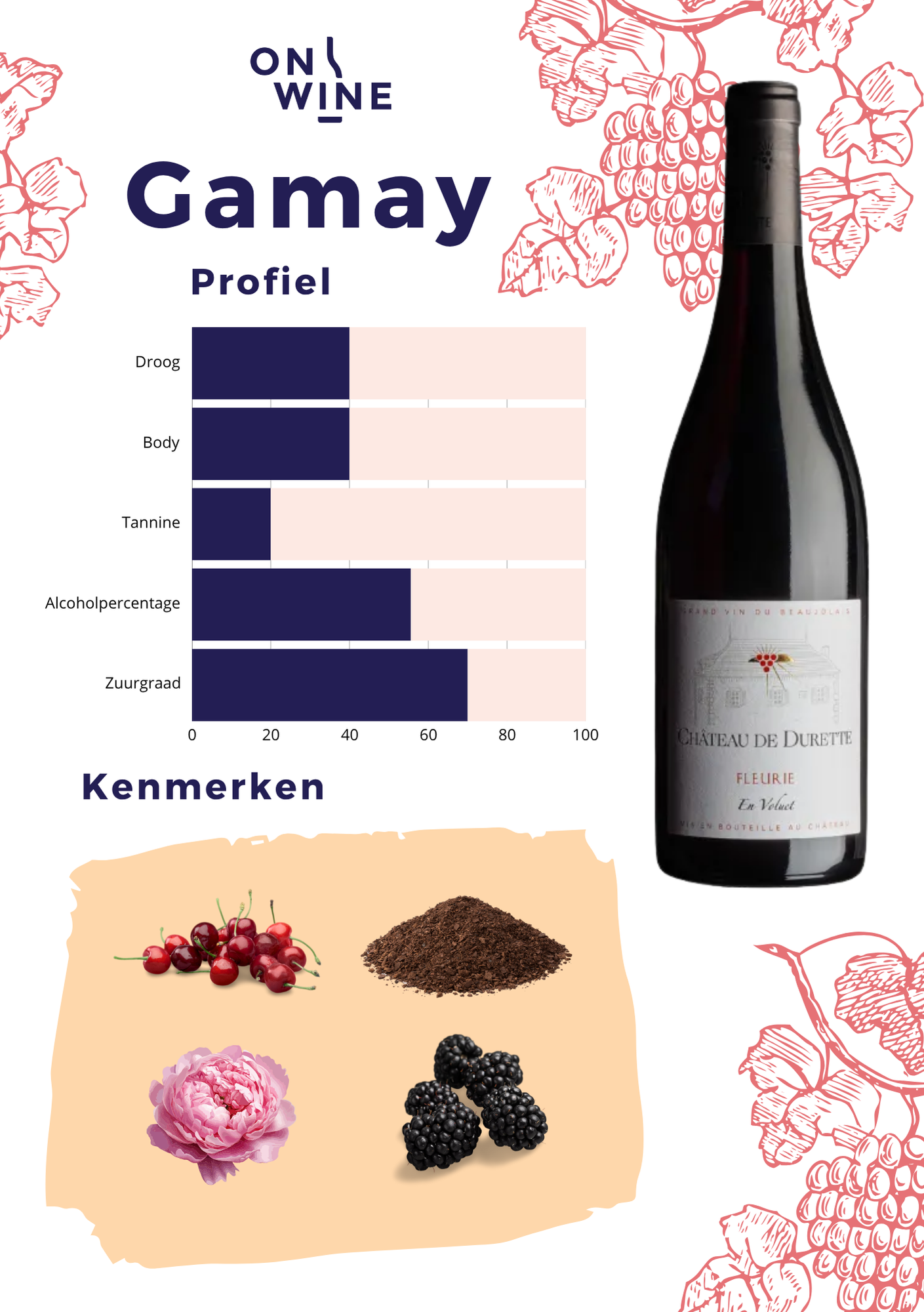 Gamay druif