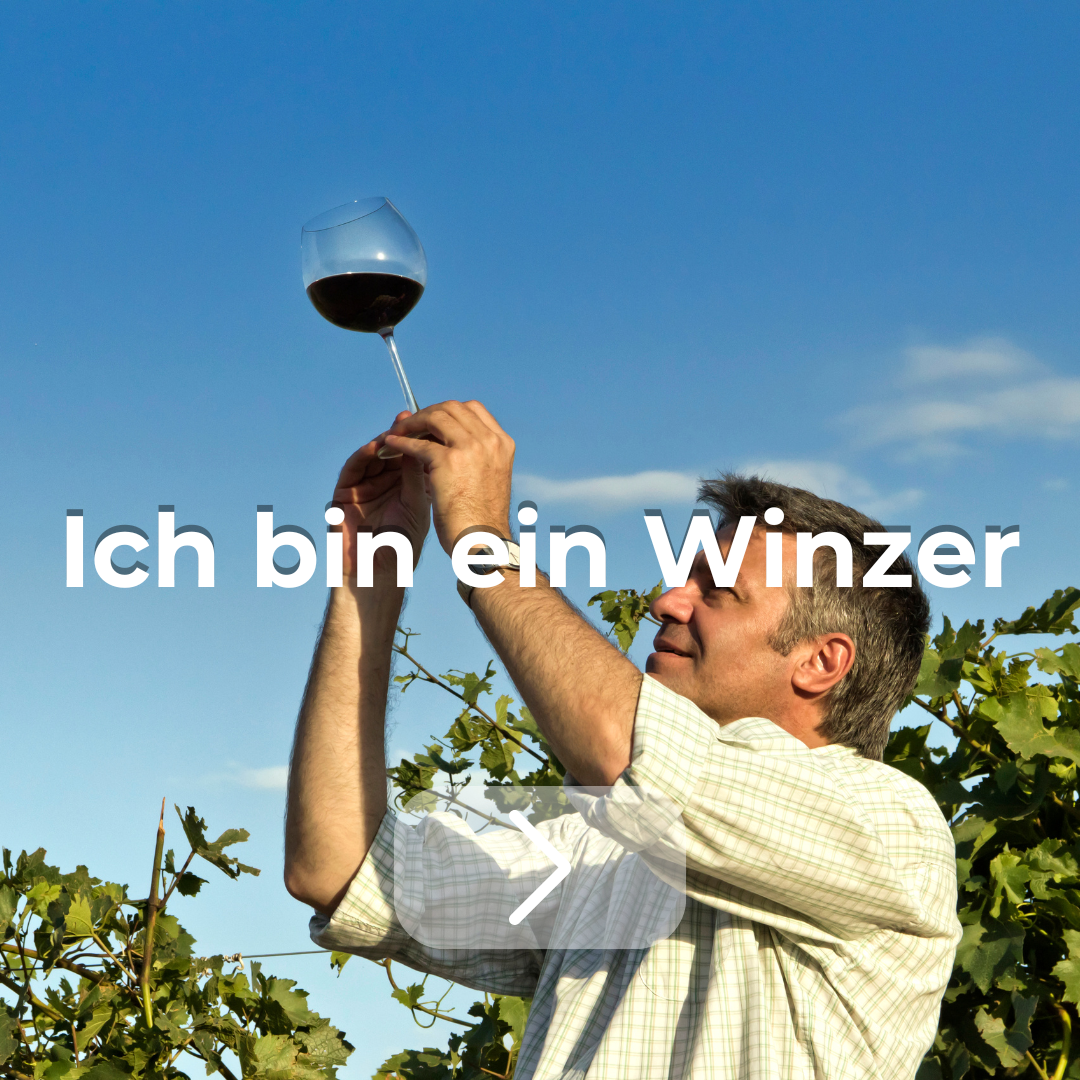 ONWINE pro
