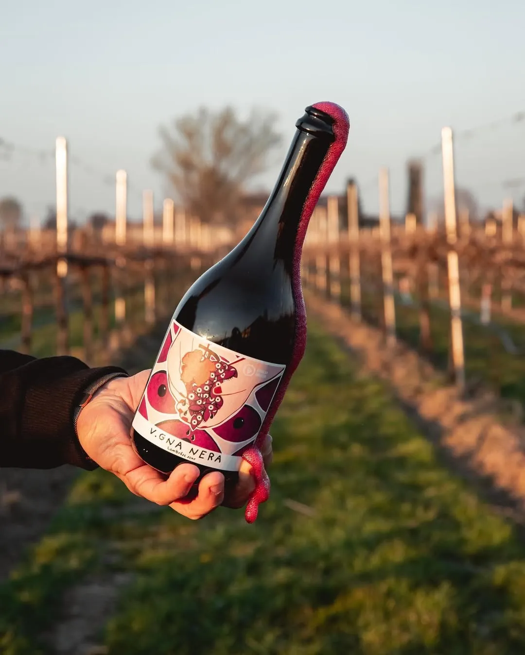 Lambrusco fles wijn geopend