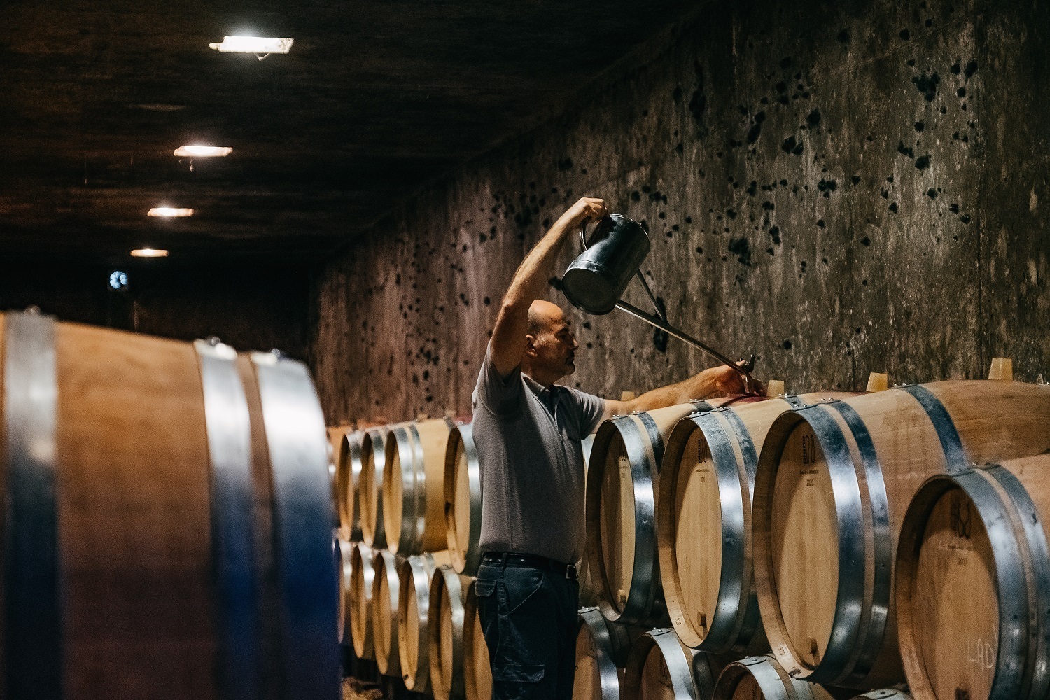 Domaine Désertaux-Ferrand Bourgogne Pinot Noir