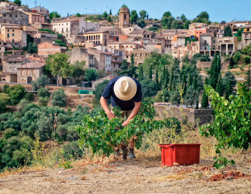 Wijnmakers masterclass Bodega Bravo Escós (Priorat) in Amsterdam